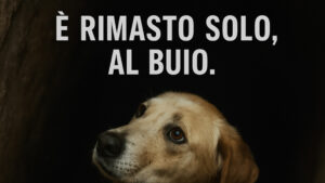 Il momento in cui il cane viene tratto in salvo dai Vigili del Fuoco di Alessandria, 8 aprile 2025