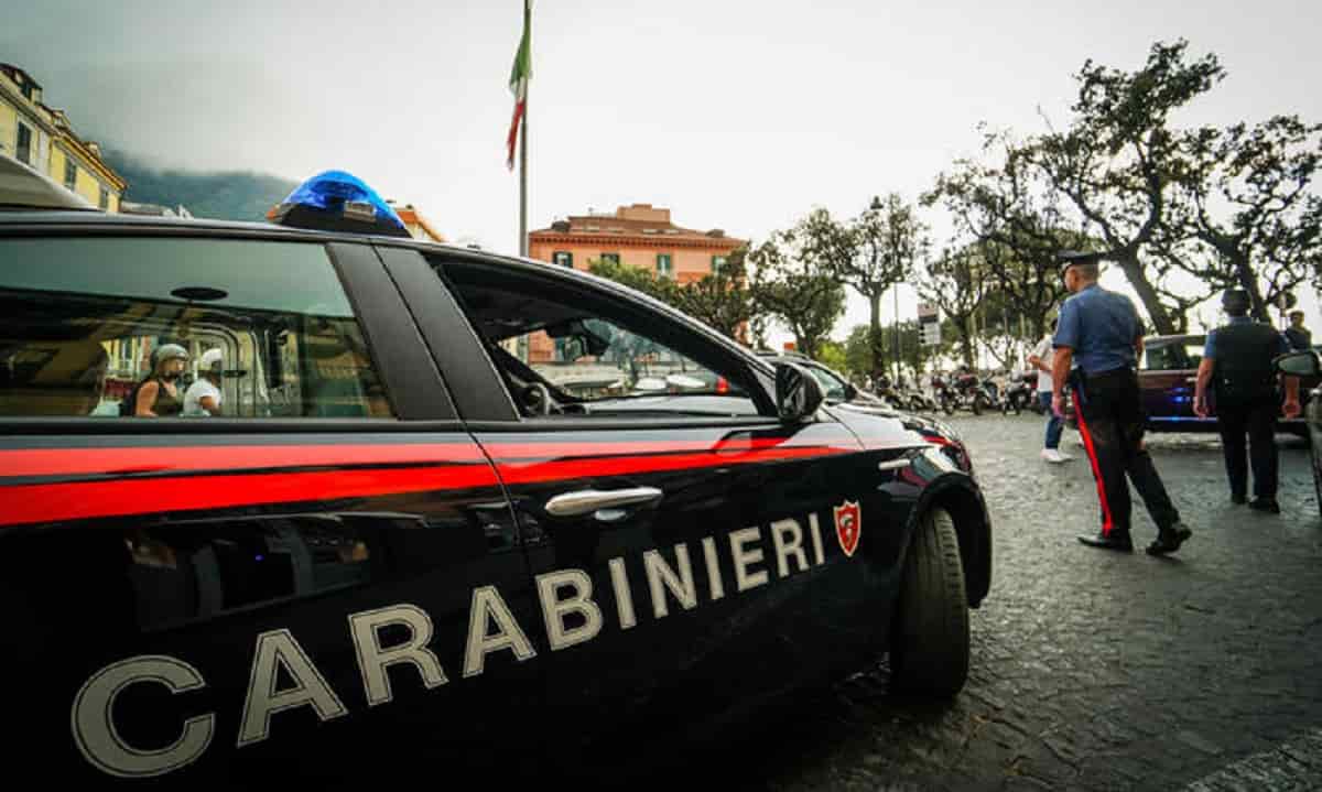 cane morto Napoli cantina