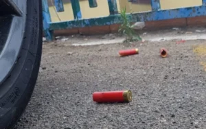 terzigno cane ucciso