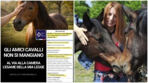 Brambilla Legge Cavalli