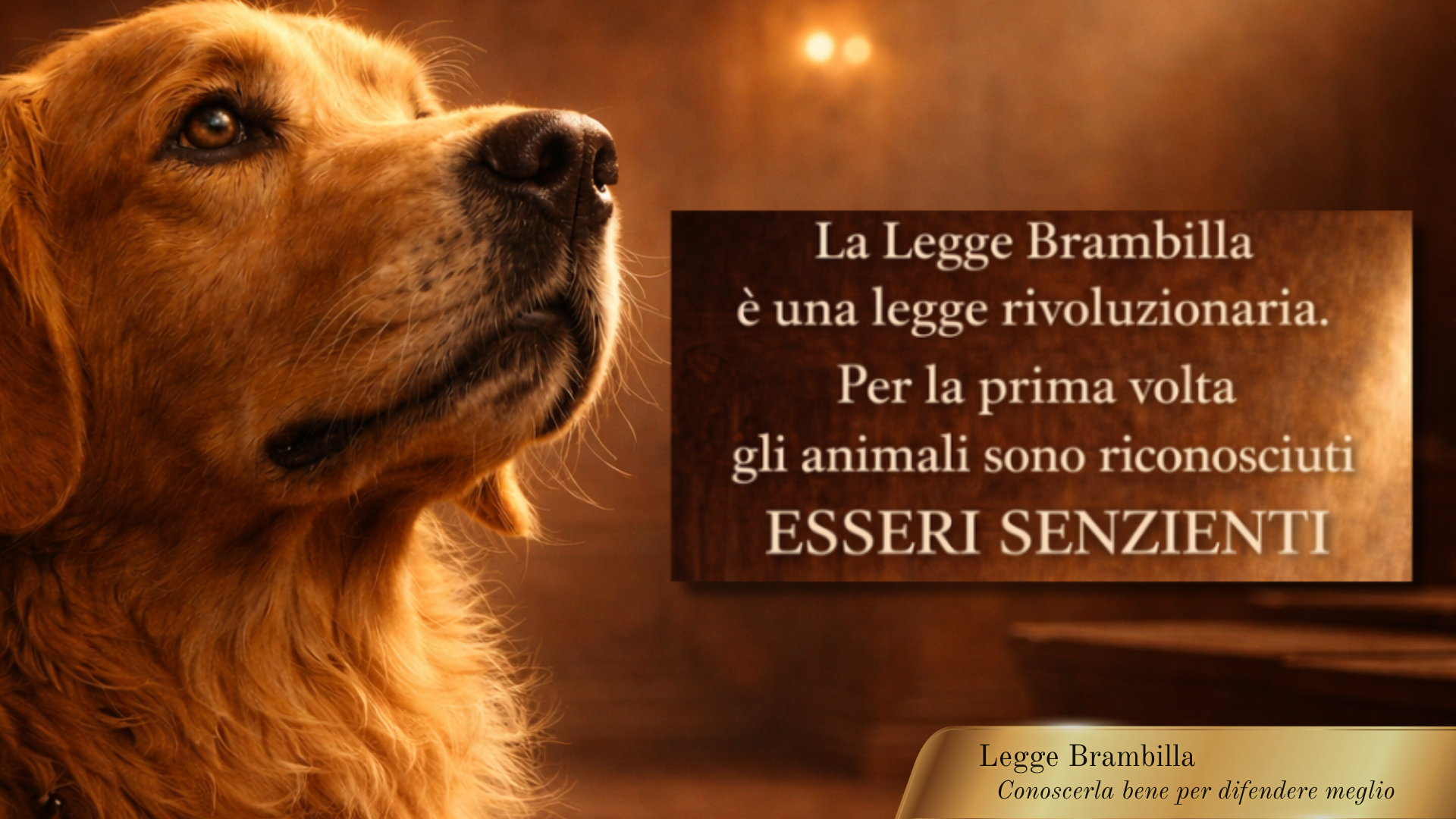 Legge Brambilla animali esseri senzienti