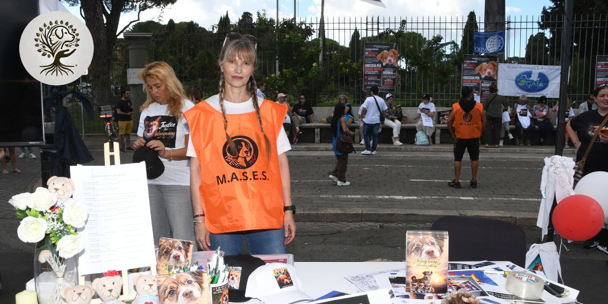 Nicole Moscariello parla dell'industria della crudeltà dopo la manifestazione per Wang Wang.