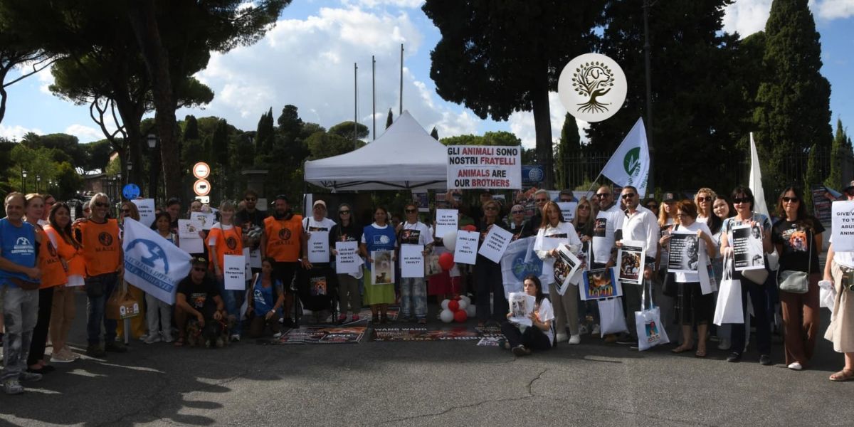 Presidio di protesta durante le manifestazioni a Roma e Milano contro le uccisioni di animali in Cina.