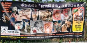 cartello manifestazione uccisione animali cina