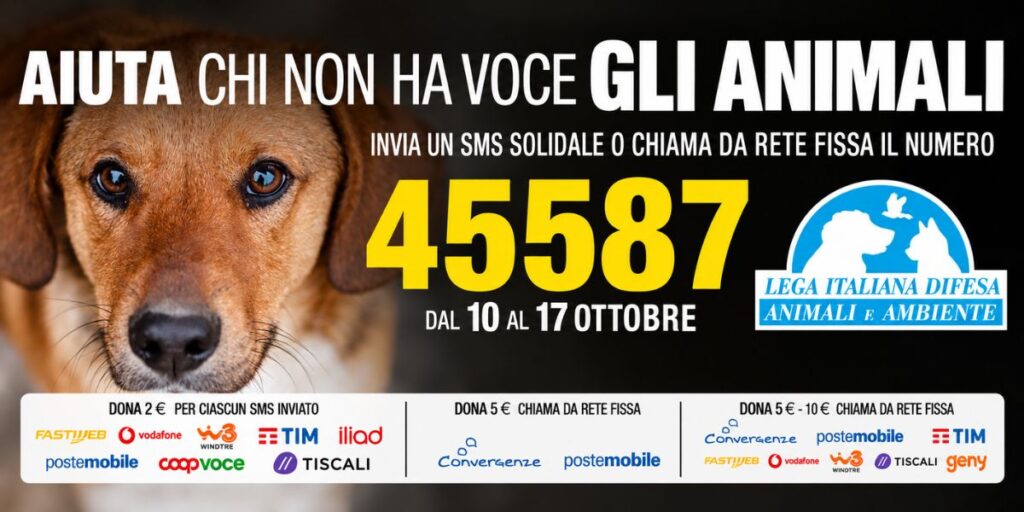Poster della campagna solidale LEIDAA