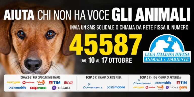 Poster della campagna solidale LEIDAA