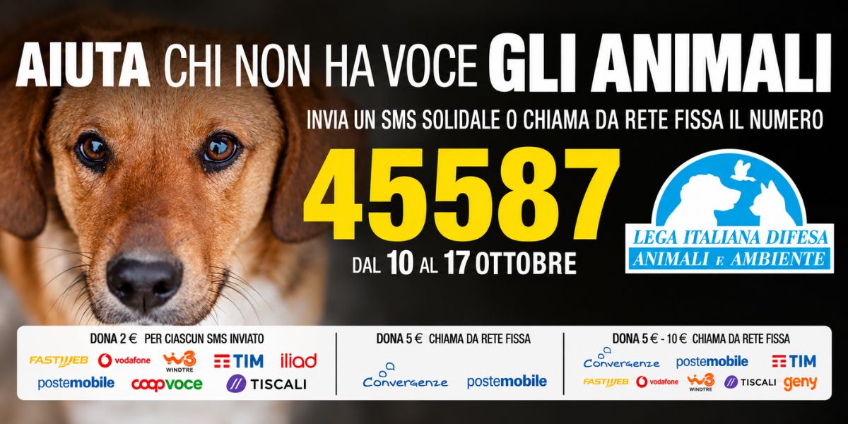 Poster della campagna solidale LEIDAA