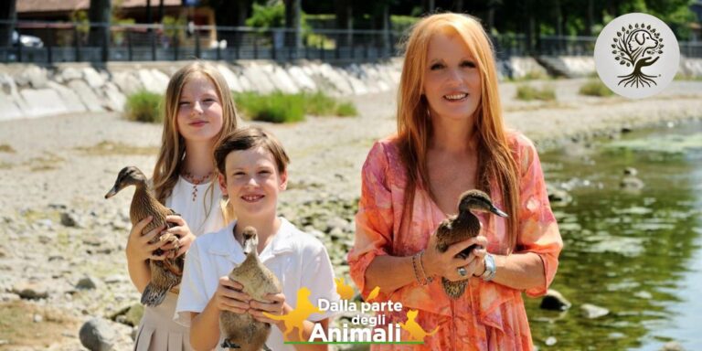 Michela Vittoria Brambilla conduce la nuova puntata presentando straordinarie storie di animali in cerca di adozione.