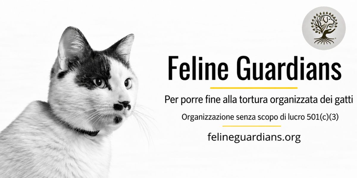 feline guardians roma